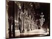 Photographic Print