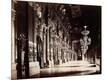 Photographic Print