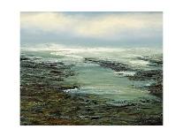 Shallow Reef-Michael Mote-Art Print