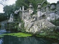 Fountains in the Gardens of the Villa Lante, Bagnaia, Lazio, Italy, Europe-Michael Newton-Photographic Print