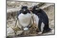 Premium Photographic Print