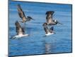 Premium Photographic Print