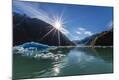 Photographic Print