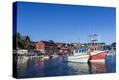 Stretched Canvas Print