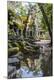 Premium Photographic Print