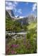 Photographic Print