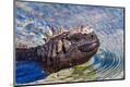 Photographic Print