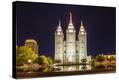 Stretched Canvas Print
