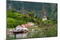 Photographic Print