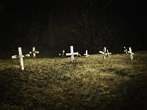 Crosses in a Cemetery-Michael Prince-Photographic Print