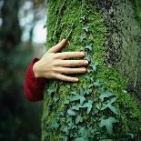 Tree Hugger-Michael Prince-Framed Photographic Print
