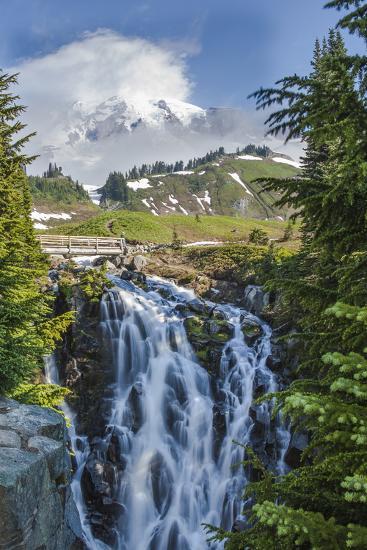 Photographic Print, , large