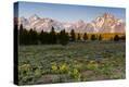 Stretched Canvas Print