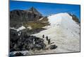 Photographic Print