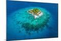 Photographic Print