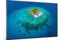 Photographic Print