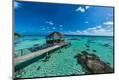 Premium Photographic Print