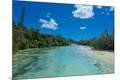 Photographic Print