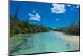 Photographic Print