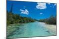 Photographic Print