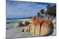 Photographic Print