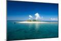 Photographic Print