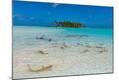 Photographic Print