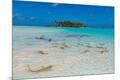 Photographic Print