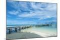 Photographic Print