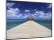 Photographic Print