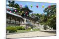 Photographic Print