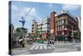 Stretched Canvas Print