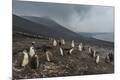 Premium Photographic Print
