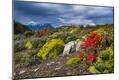 Photographic Print