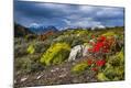 Photographic Print
