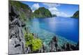 Photographic Print