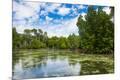 Photographic Print