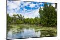 Photographic Print