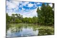 Photographic Print