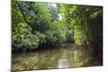 Photographic Print