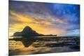 Photographic Print