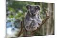 Photographic Print