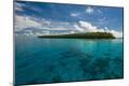 Photographic Print