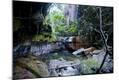 Photographic Print