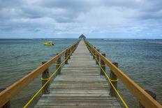 Long Wooden Pier, Coral Coast, Viti Levu, Fiji, South Pacific-Michael Runkel-Photographic Print