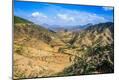 Photographic Print