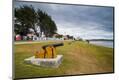 Photographic Print