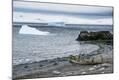 Photographic Print