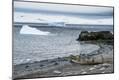 Photographic Print