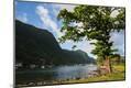 Photographic Print